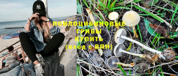 ПСИЛОЦИБИНОВЫЕ ГРИБЫ Алексин