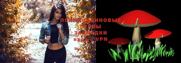 ПСИЛОЦИБИНОВЫЕ ГРИБЫ Алексин